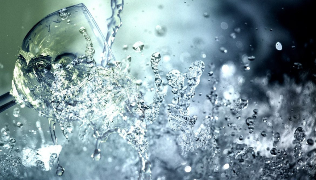 Edward Snell & Co. is toasting a sustainable future